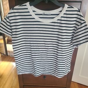 Zara Navy and White Striped Tee